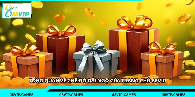 Tổng quan về chế độ đãi ngộ của trang chủ 68vip